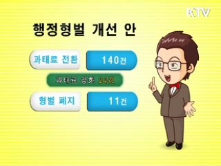 행정형벌 2탄 [규제개혁]