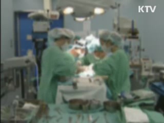 불법 낙태 범정부적 대응