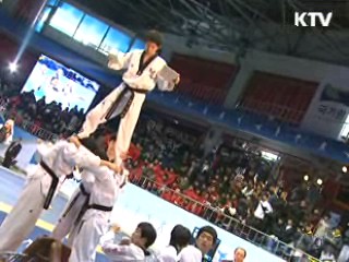 세계태권도 한마당 개막