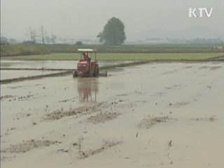 경북도, 결혼이민자농가 특별융자 지원