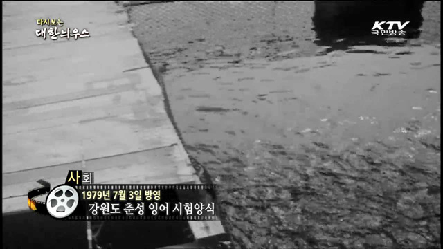 다시보는 대한늬우스 (79.07.03)