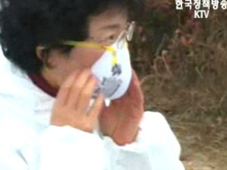 행자부, AI 방역위해 안성에 5억원 긴급지원