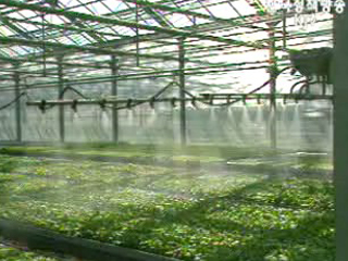 박홍수 농림부 장관 `농촌형특별소득대책 마련`