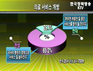 의료 서비스 개방, 득과 실