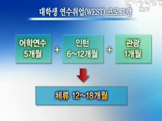 어학연수와 인턴을 '한번에'