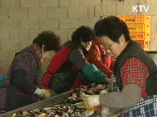 이달말 사회적 일자리 4천개 제공