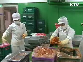 수출하는 우리 김치 [이것이 최고]