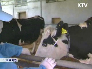 구제역 종식…축산업 면허제 도입 추진