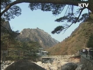 31일까지 기업별로 방북, 부동산 조사 받아