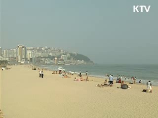 전국 연안어장 '해파리 경계경보' 발령