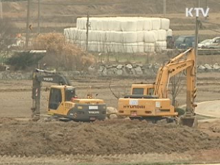 일부 지역 소에 구제역 백신 접종