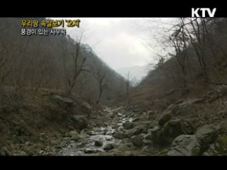 풍경이 있는 사무곡