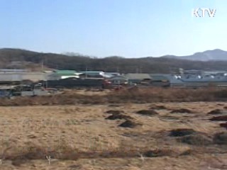 구제역 매몰지 사체 재처리 결정된 바 없어