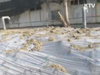 민·관 합동 매몰지 점검 29일까지 완료