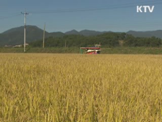 FTA 대책 '밭 직불금' 올해 334억 지급