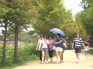 우리 마을 녹색길 '베스트 10'