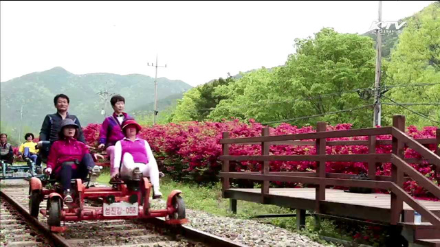 다음 달 1일 관광주간 시작…초중고 '단기 방학'