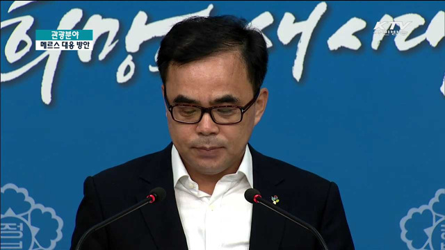 관광분야 메르스 대응 방안