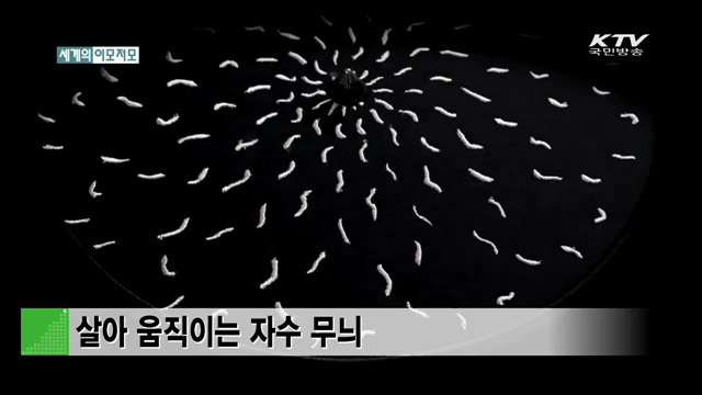 살아 움직이는 자수 무늬 [세계 이모저모]
