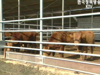 막연한 불안감이 `적`