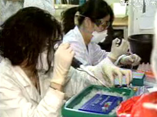 1~9월 에이즈 감염인 13% 상승