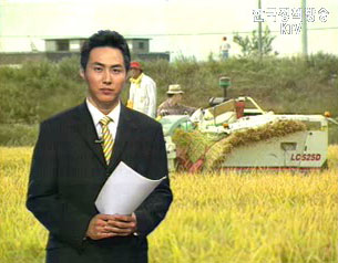 쌀 시장 개방의 현주소와 대책 등