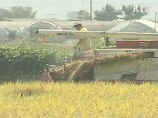 정부 쌀 감산정책 추진