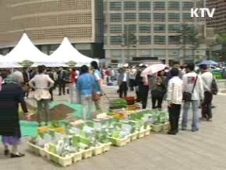 도심 속 친환경 채소 재배 '이렇게'