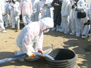 매몰지 정비공사 기술전담반 투입