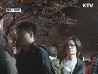 진해 군항제 벚꽃 절정…주말 100만명 운집