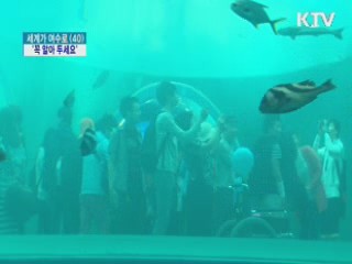 여수엑스포 출발 전 '꼭 알아 두세요'