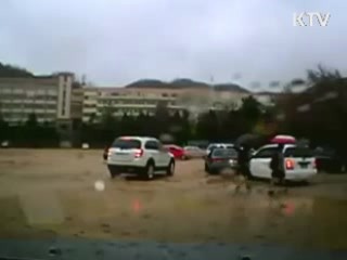 학교 내 교통사고도 형사처벌 받는다