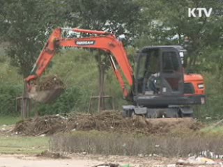 쓰레기장으로 변한 울산 태화강 둔치