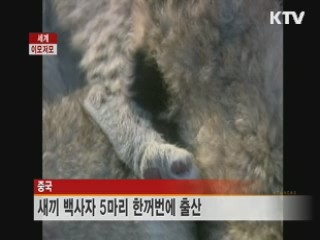 미국 폭풍추적대원 3명 토네이도로 사망