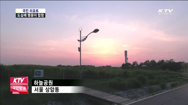 월드컵공원에 맹꽁이 울음소리 가득