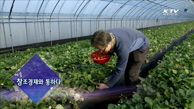 KTV 100년의 행복, 희망 대한민국 (142회)