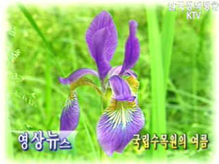 국립수목원의 여름