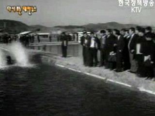 담수어 양식 강습회(`71)