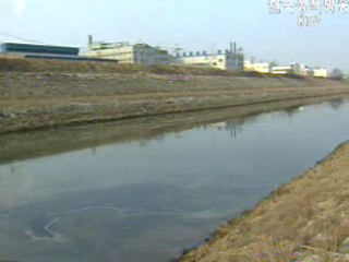 전국 32개 하천, 생태하천으로 정비