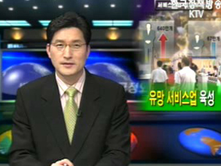 서비스산업 경쟁력강화 종합대책