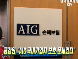 금감원, AIG 국내가입자 보호 문제없다