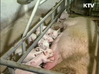 한·EU FTA 농축산 분야 피해 최소화