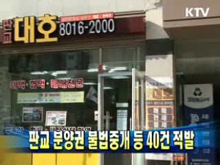 판교 분양권 불법중개 등 40건 적발