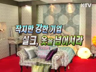 작지만 강한 기업, 킴스실크 "실크의 재발견" [이것이 최고]