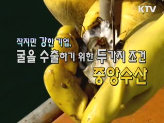 작지만 강한 기업 굴 수출업체, 중앙수산 [이것이 최고]
