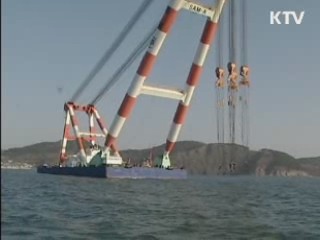 오늘의 정책(전체)