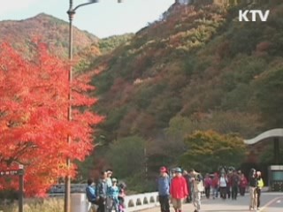 이번 주 단풍 절정…기온은 '뚝'