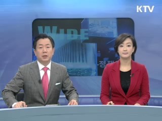 정책 와이드 (19회)