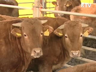 한-EU FTA, 축산업 10년간 2조원 지원