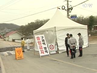 한우농가도 구제역 발생…방역 총력